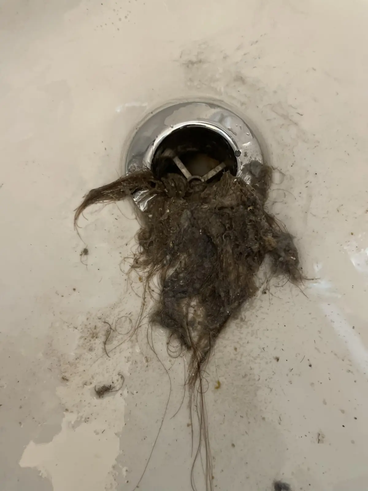 A massive hair clog pulled from a residential bathtub drain
